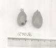 Click for 1 image(s) for this accession. FRUIT
